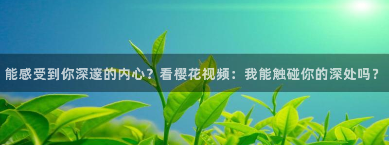 星空视频影视大全免费观看