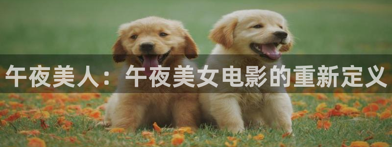 电影网星空