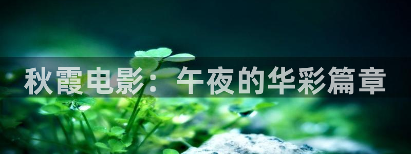 精东影业电影免费播放