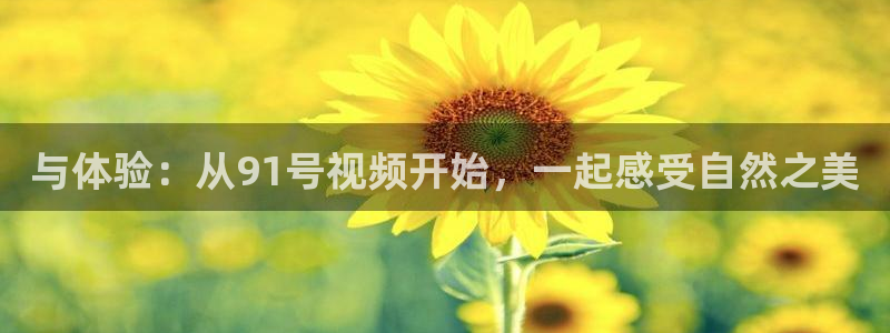 星空无痕mv电影免费观看