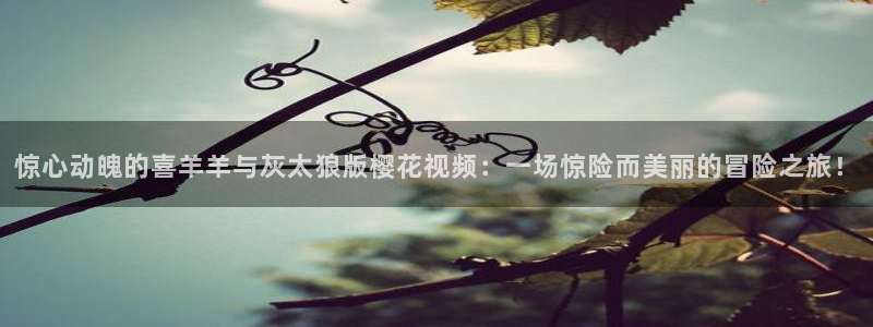 精东影业下载