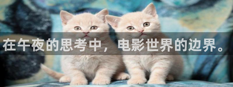 星空传媒观看