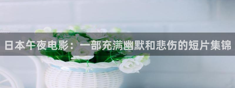 星空无限影视