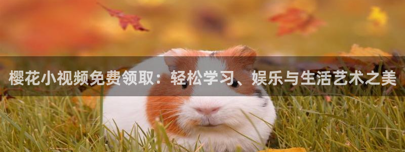 免费观看星空传媒