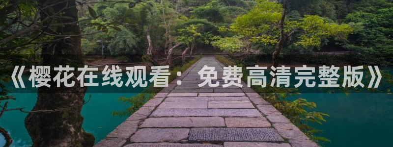 星空在线观看免费高清电视