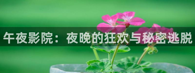 精东影业韩剧