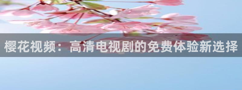 二十不惑星空影视