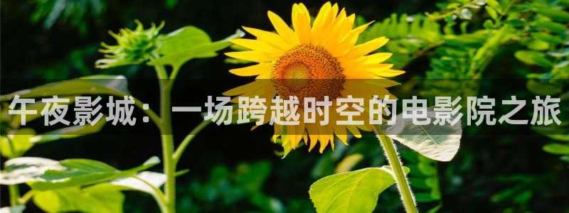 星空影视精东影业