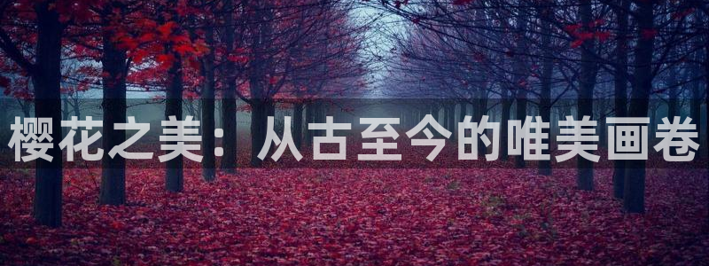 2024精东影业免费观看电影