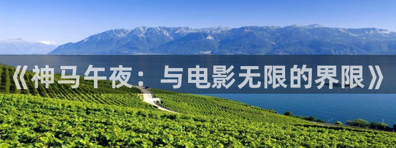 星空视频在线观看完整免费