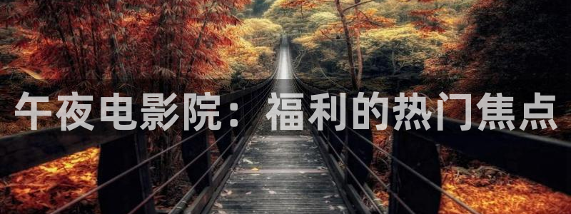 星空的壁纸