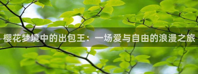 星空影视2020