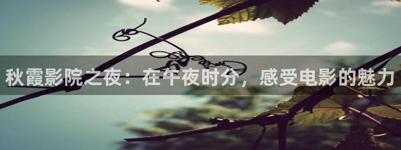 精东影业动漫免费观看