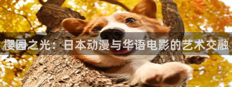 韩国精东影业