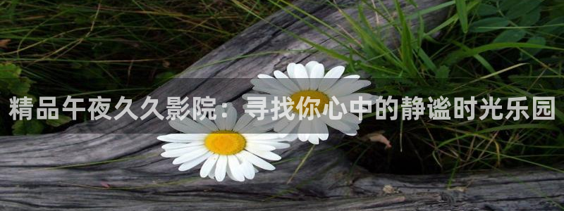 精东影业电视剧大全高清