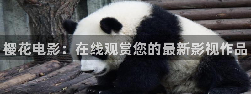 后浪精东影业